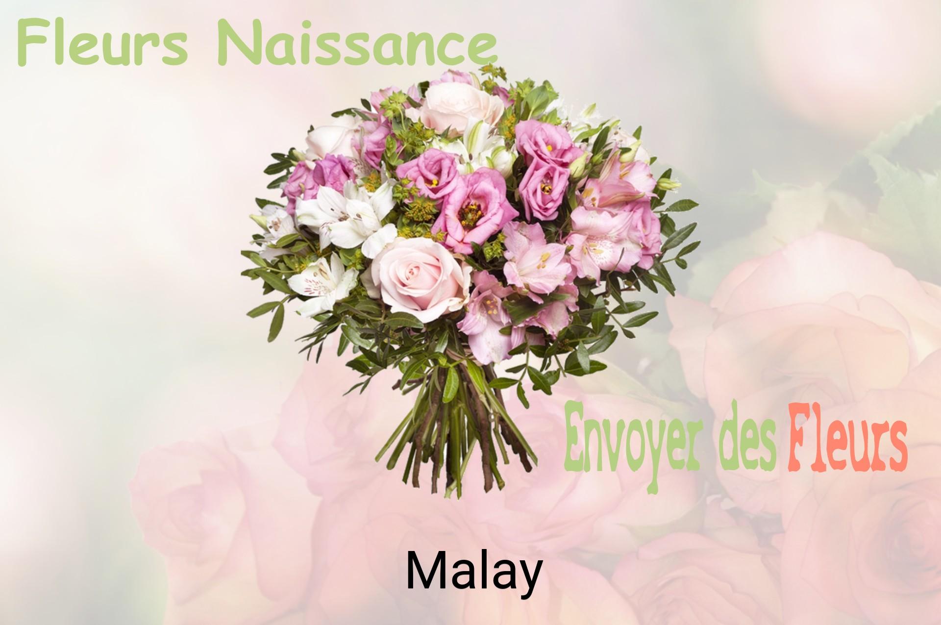 Bouquet de fleurs de naissance livré à Malay